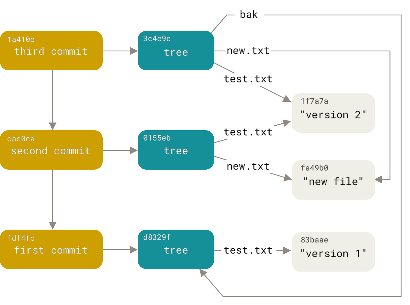 All the reachable objects in your Git directory.