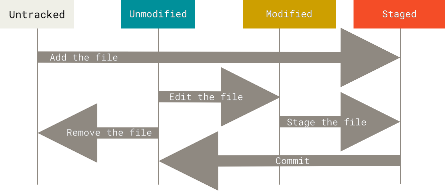 The lifecycle of the status of your files.