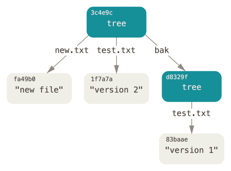 Structure du contenu de vos données Git actuelles.