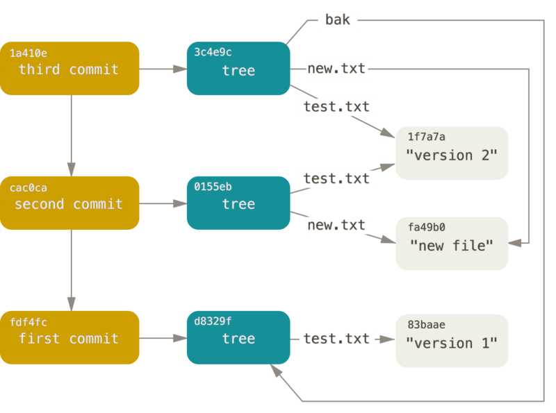 Git 저장소 내의 모든 개체.