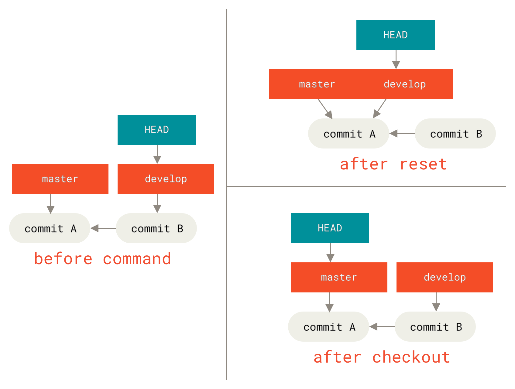 reset checkout