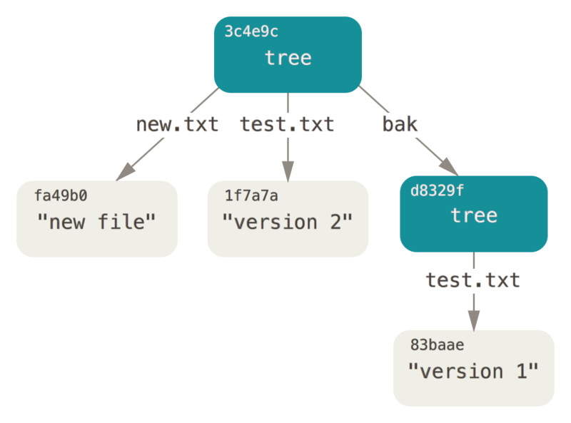 The content structure of your current Git data.