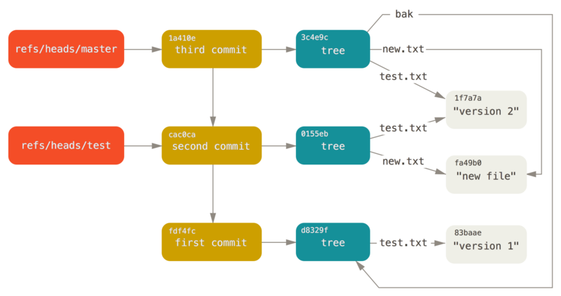 Git directory objects with branch head references included.